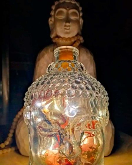 luminaria buda