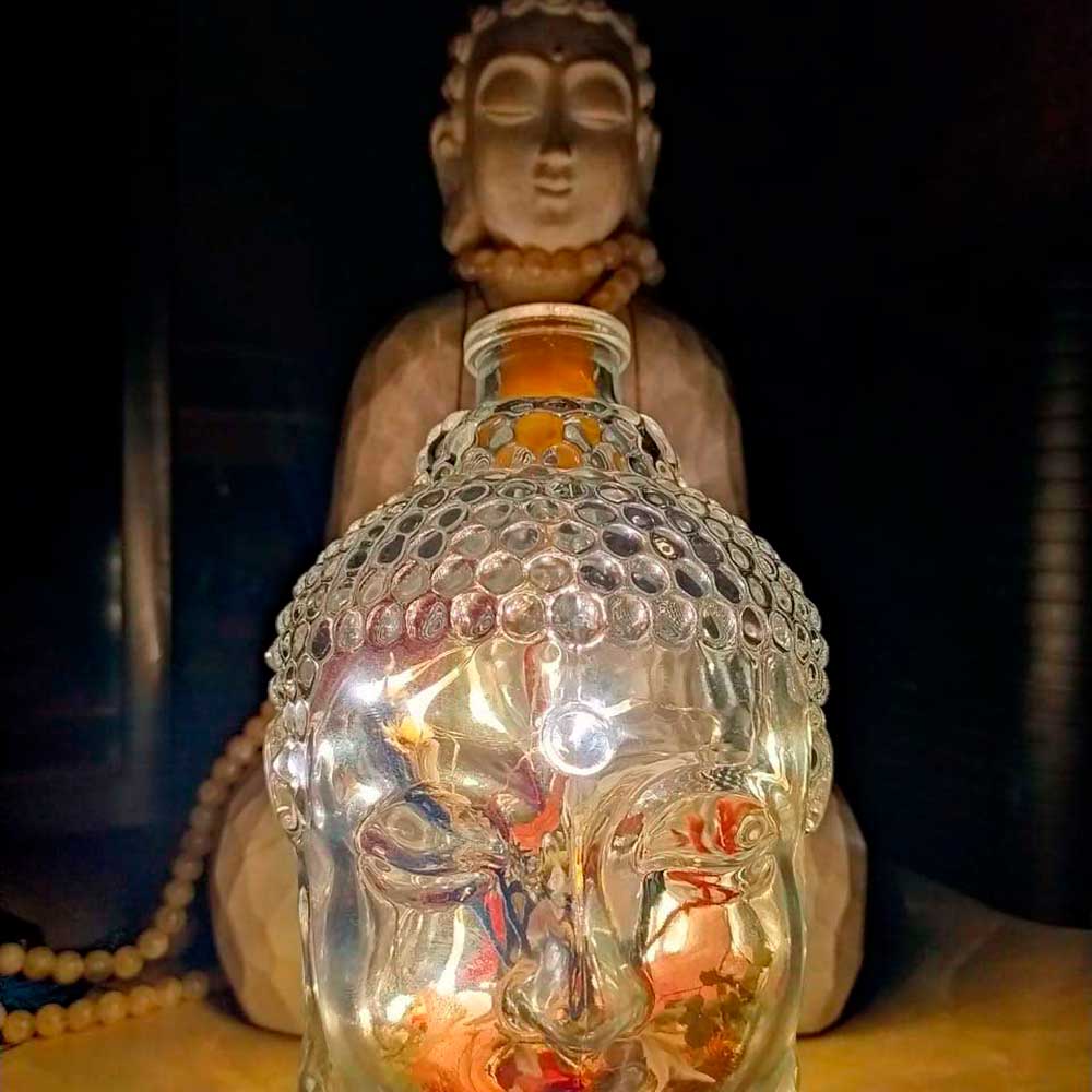 luminaria buda